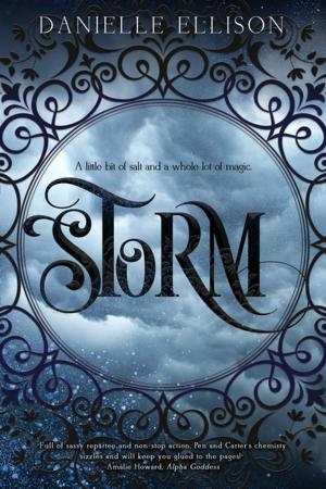 Cover of the book Storm by Ally Broadfield