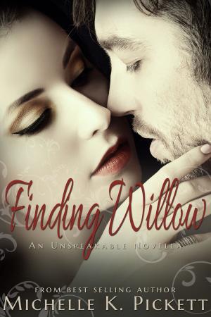 Cover of the book Finding Willow by Jennifer Anne Davis