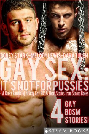 bigCover of the book Gay Sex: It's Not For Pussies - A Kinky Bundle of 4 Sexy Gay BDSM Short Stories from Steam Books by 