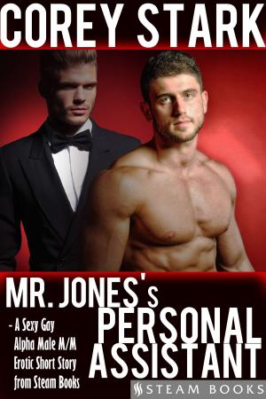 Cover of the book Mr. Jones's Personal Assistant - A Sexy Gay Alpha Male M/M Erotic Short Story from Steam Books by CB Angell