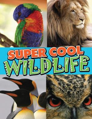 Cover of the book Super Cool Wildlife by Baby Professor