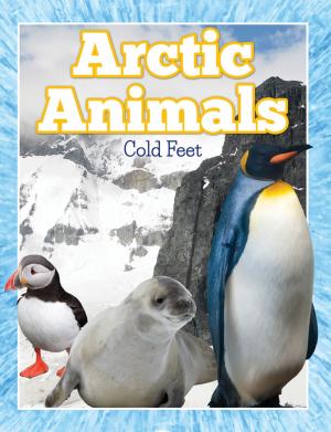 Cover of the book Arctic Animals (Cold Feet) by Faye Sonja