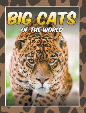 Cover of the book Big Cats Of The World by Jan Latta