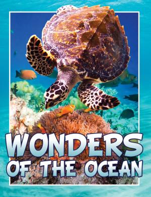 bigCover of the book Wonders Of The Ocean by 