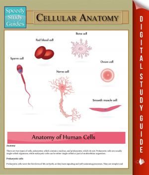 Cover of the book Cellular Anatomy by Jason Scotts