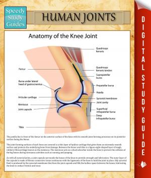 Book cover of Human Joints