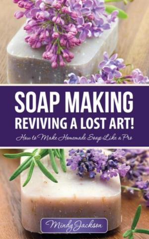 Cover of the book Soap Making: Reviving a Lost Art! by Costas Louise. A.