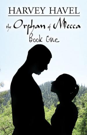 Cover of the book The Orphan of Mecca, Book One by Doreen Brust Johnson