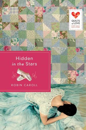 Cover of the book Hidden in the Stars by Karen Barnett