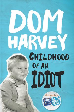 Cover of the book Childhood of an Idiot by David McKnight