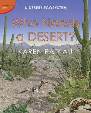 Book cover of Who Needs a Desert?