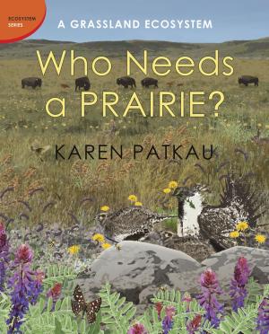 Cover of the book Who Needs a Prairie? by Lorna Schultz Nicholson