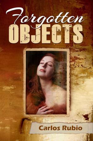 Book cover of Forgotten Objects