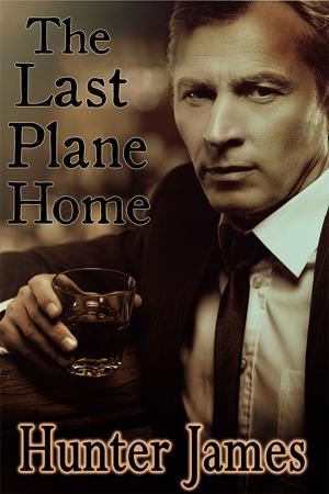 Cover of the book The Last Plane Home by Alex Krane