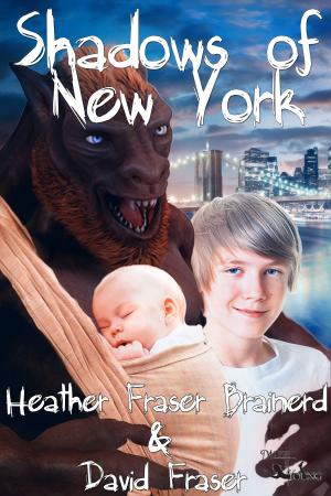 Book cover of Shadows of New York