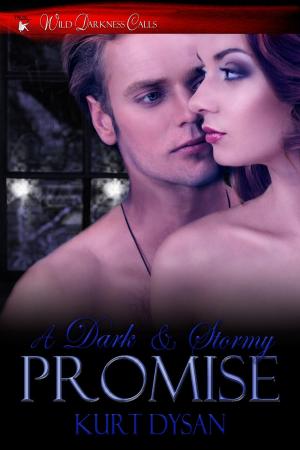 bigCover of the book A Dark and Stormy Promise by 