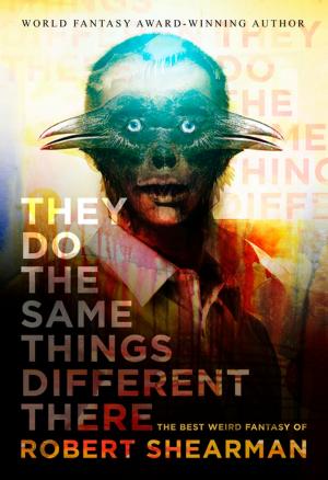 Book cover of They Do the Same Things Different There