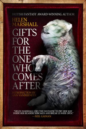 Cover of the book Gifts for the One Who Comes After by David Demchuk