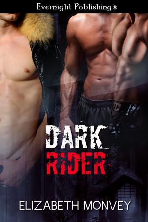 Cover of the book Dark Rider by Angelique Voisen