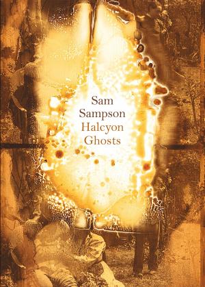 Cover of the book Halcyon Ghosts by Marama Muru-Lanning