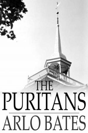 Cover of the book The Puritans by Mary Elizabeth Braddon