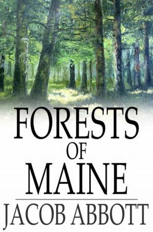 Cover of the book Forests of Maine by Ellen Glasgow