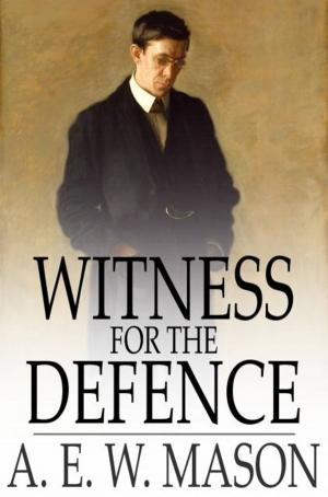 Cover of the book Witness for the Defence by E. W. Hornung