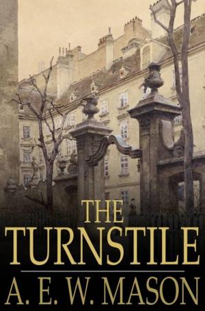 Cover of the book The Turnstile by R.M. Ballantyne