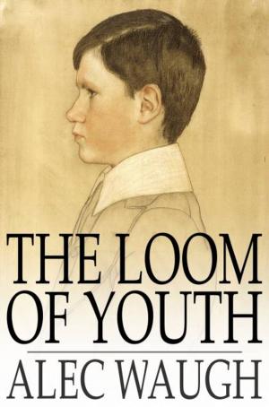 Cover of the book The Loom of Youth by Captain Quincy Allen