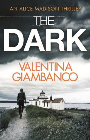 bigCover of the book The Dark by 