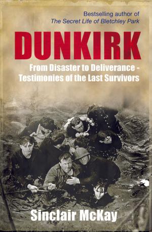Cover of the book Dunkirk by Mich Turner