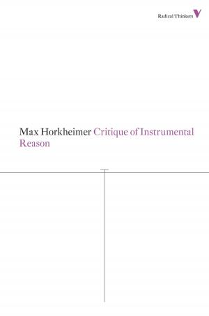 Cover of the book Critique of Instrumental Reason by James Marriott, Mika Minio-Paluello