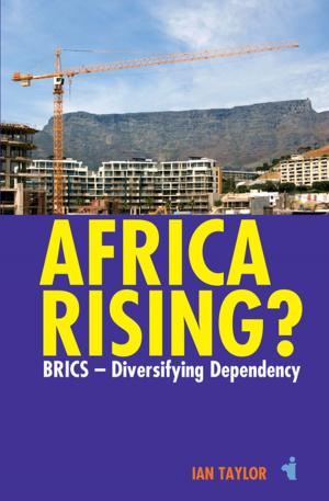 Book cover of Africa Rising?