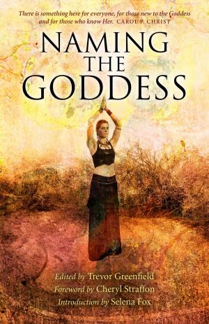 Cover of the book Naming the Goddess by Morgan Daimler