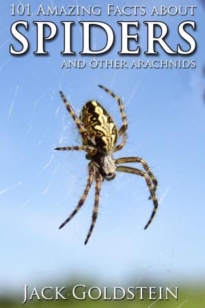 Cover of the book 101 Amazing Facts about Spiders by Jack Goldstein