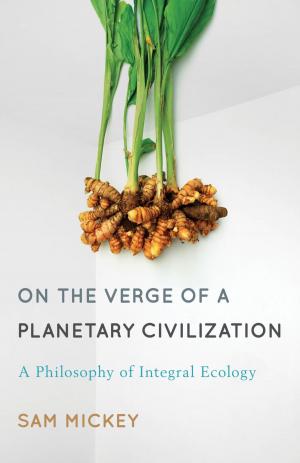 Book cover of On the Verge of a Planetary Civilization