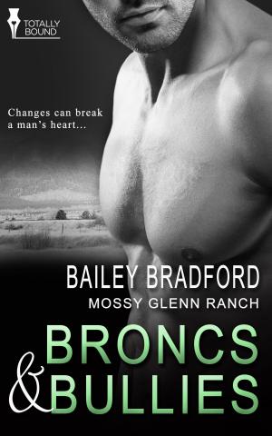 Book cover of Broncs and Bullies