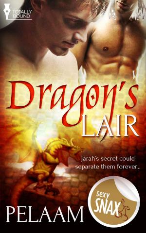 Cover of the book Dragon’s Lair by Heidi Garrett