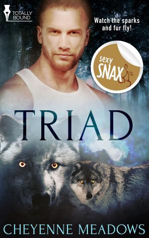 Cover of the book Triad by Sierra Cartwright