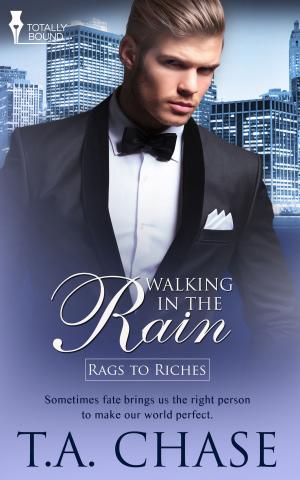 Cover of the book Walking in the Rain by Aliyah Burke, McKenna  Jeffries