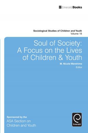 Cover of the book Soul of Society by Anthony F. Rotatori, Jeffrey P. Bakken, Festus E. Obiakor