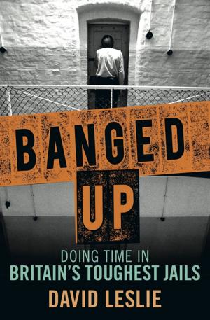 Cover of the book Banged Up! by Robert Jeffrey