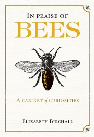 Cover of the book In Praise of Bees by Adrian Dangar