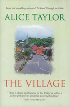 Cover of the book The Village by Siobhán Parkinson