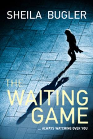 Cover of the book The Waiting Game by Joe O'Brien
