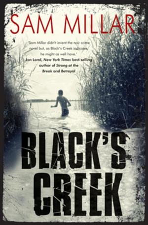 Cover of the book Black's Creek by Judi Curtin