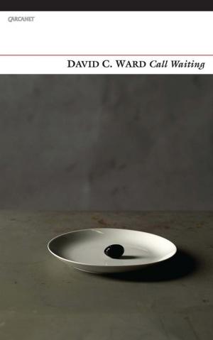 Book cover of Call Waiting