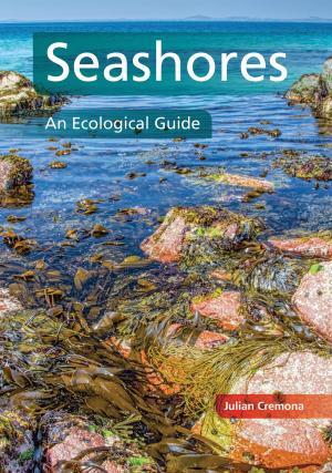 Book cover of Seashores
