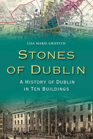 Cover of the book Stones of Dublin by Rory O'Connor