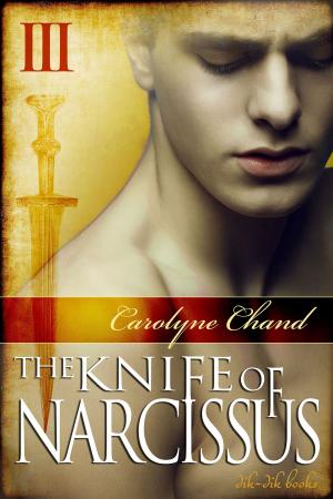 Cover of the book The Knife of Narcissus Part 3 by Lacey Savage